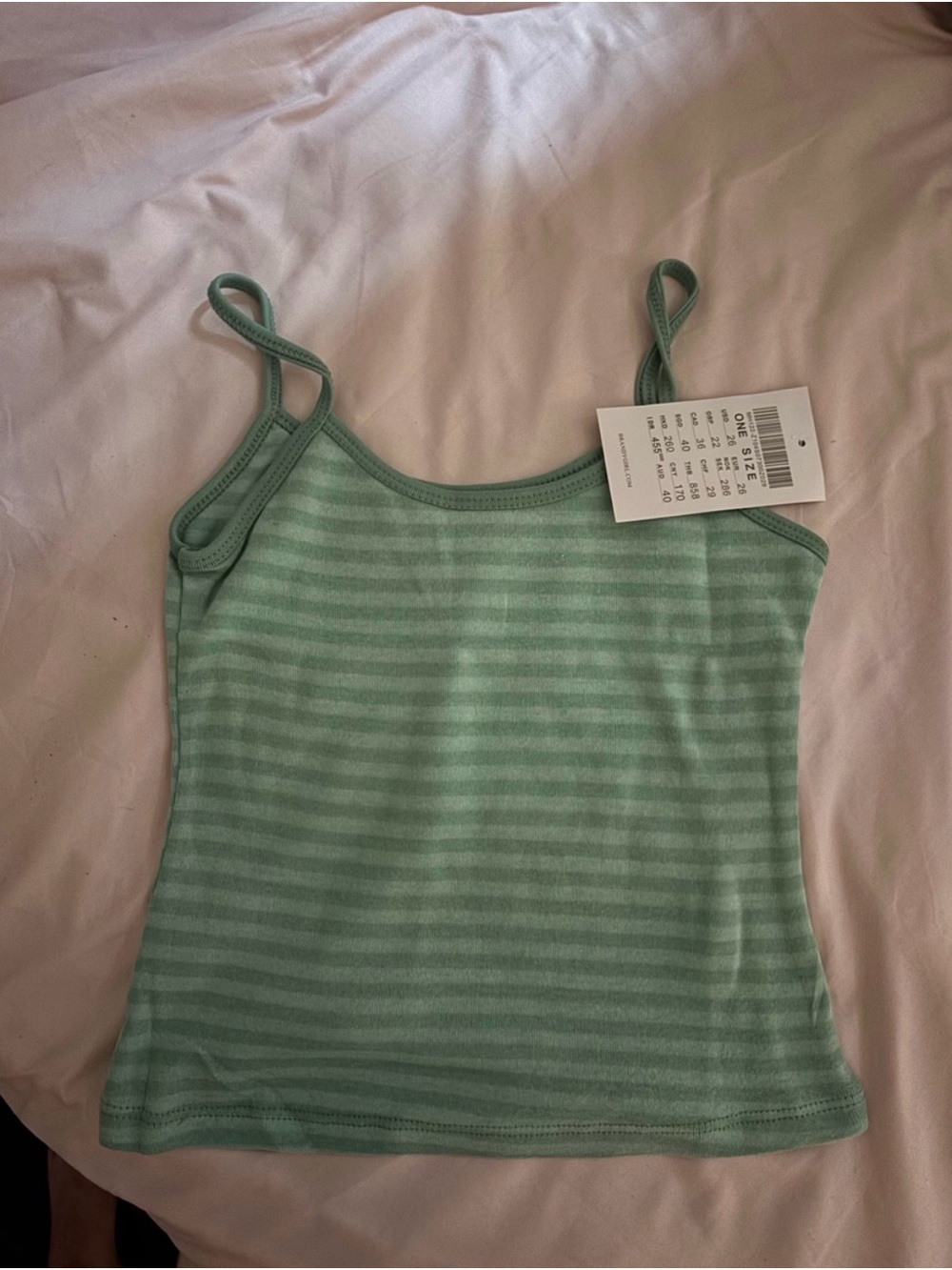 BNWT VIRAL Brandy Melville Teal Striped Tank Top